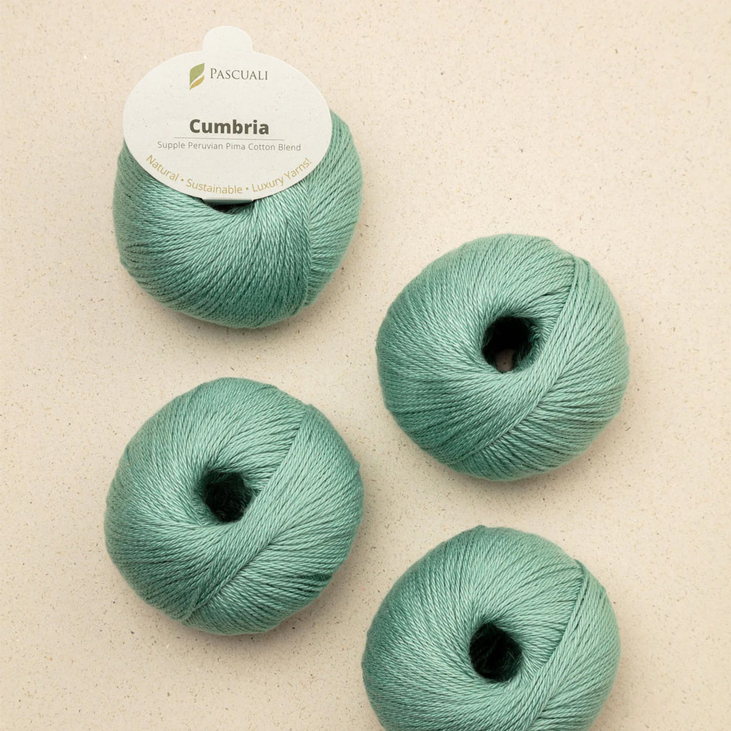 Pelote de Cumbria de Pascuali, coloris 325 Menthe