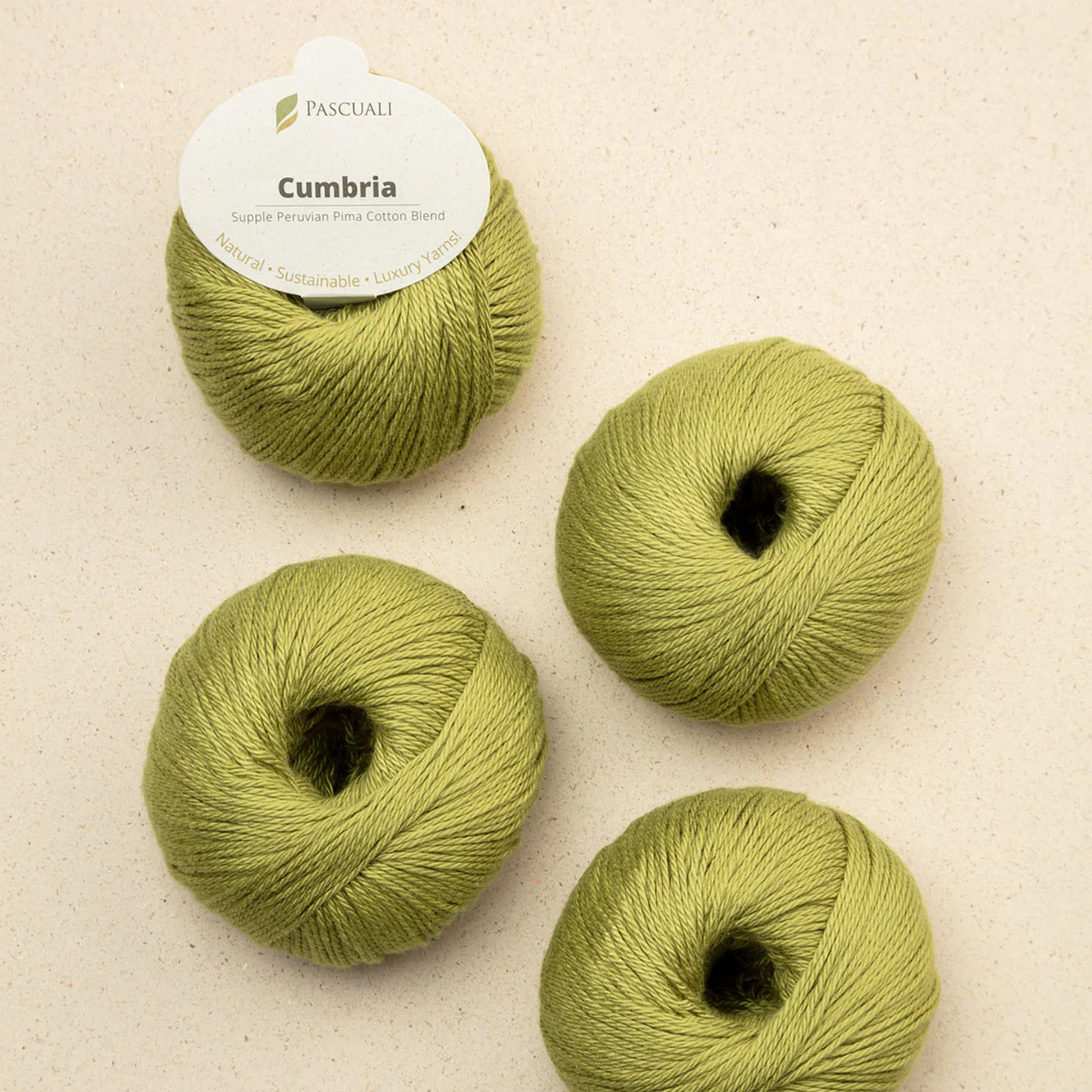 Pelote de Cumbria de Pascuali, coloris 327 Kiwi