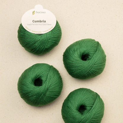 Pelote de Cumbria de Pascuali, coloris 329 Pin