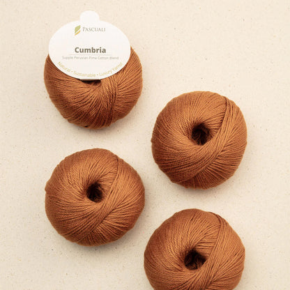 Pelote de Cumbria de Pascuali, coloris 331 Fauve