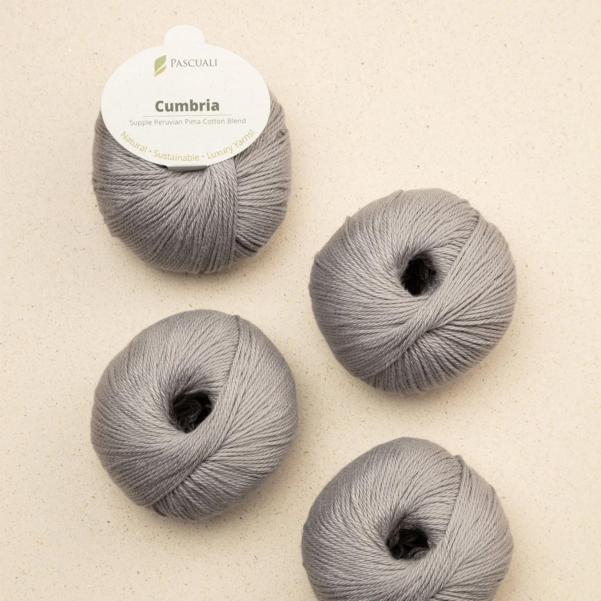 Pelote de Cumbria de Pascuali, coloris 333 Gris Clair