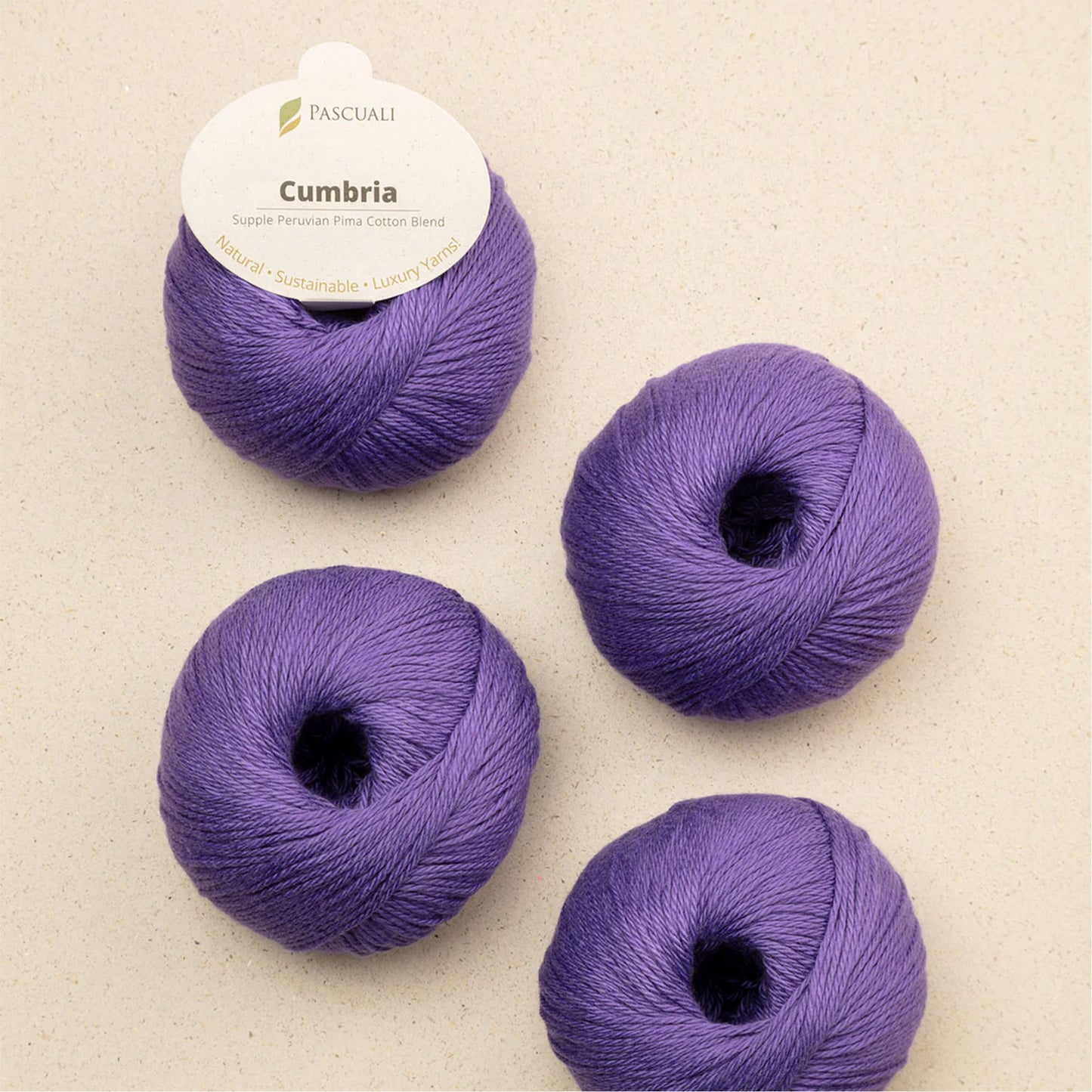 Pelote de Cumbria de Pascuali, coloris 337 Prune