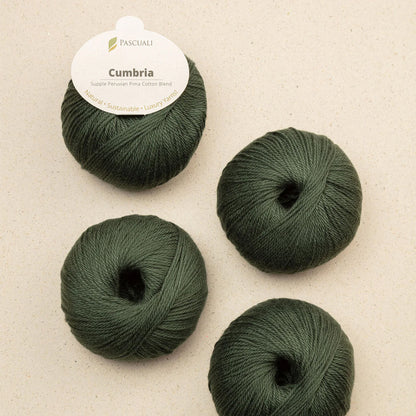 Pelote de Cumbria de Pascuali, coloris 340 Olive