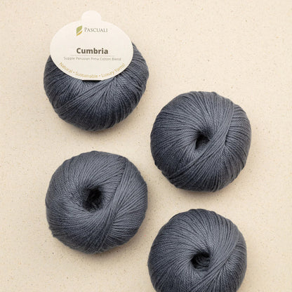 Pelote de Cumbria de Pascuali, coloris 341 Plomb