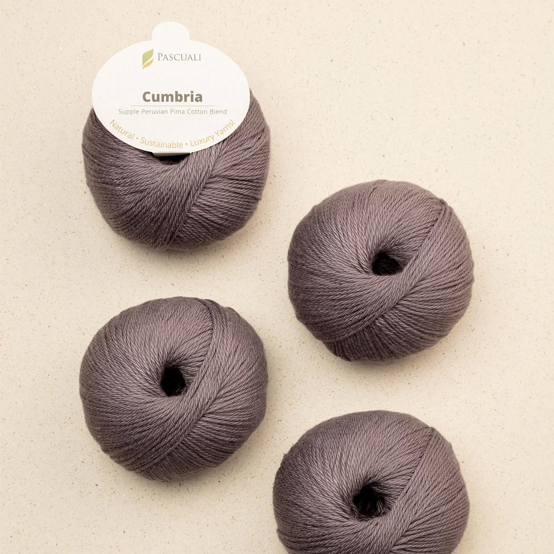 Pelote de Cumbria de Pascuali, coloris 342 Figue