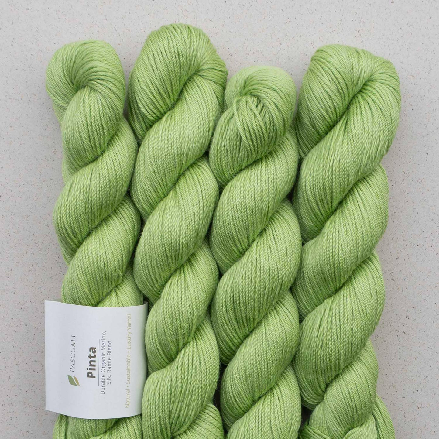 Echeveaux de Pinta de Pascuali, coloris 104 Citron Vert
