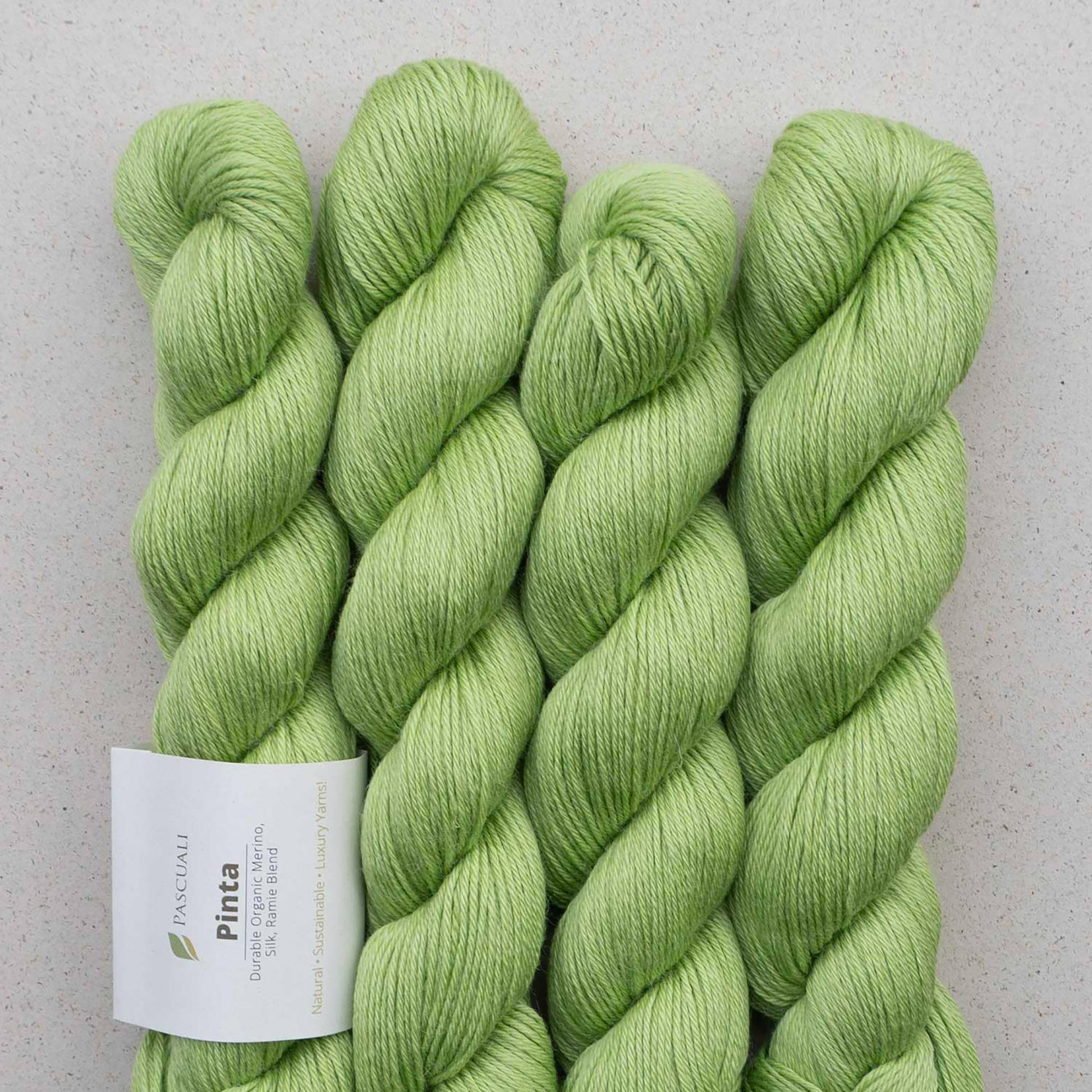 Echeveaux de Pinta de Pascuali, coloris 104 Citron Vert