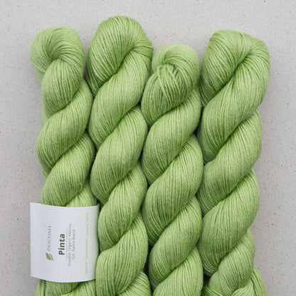 Echeveaux de Pinta de Pascuali, coloris 104 Citron Vert
