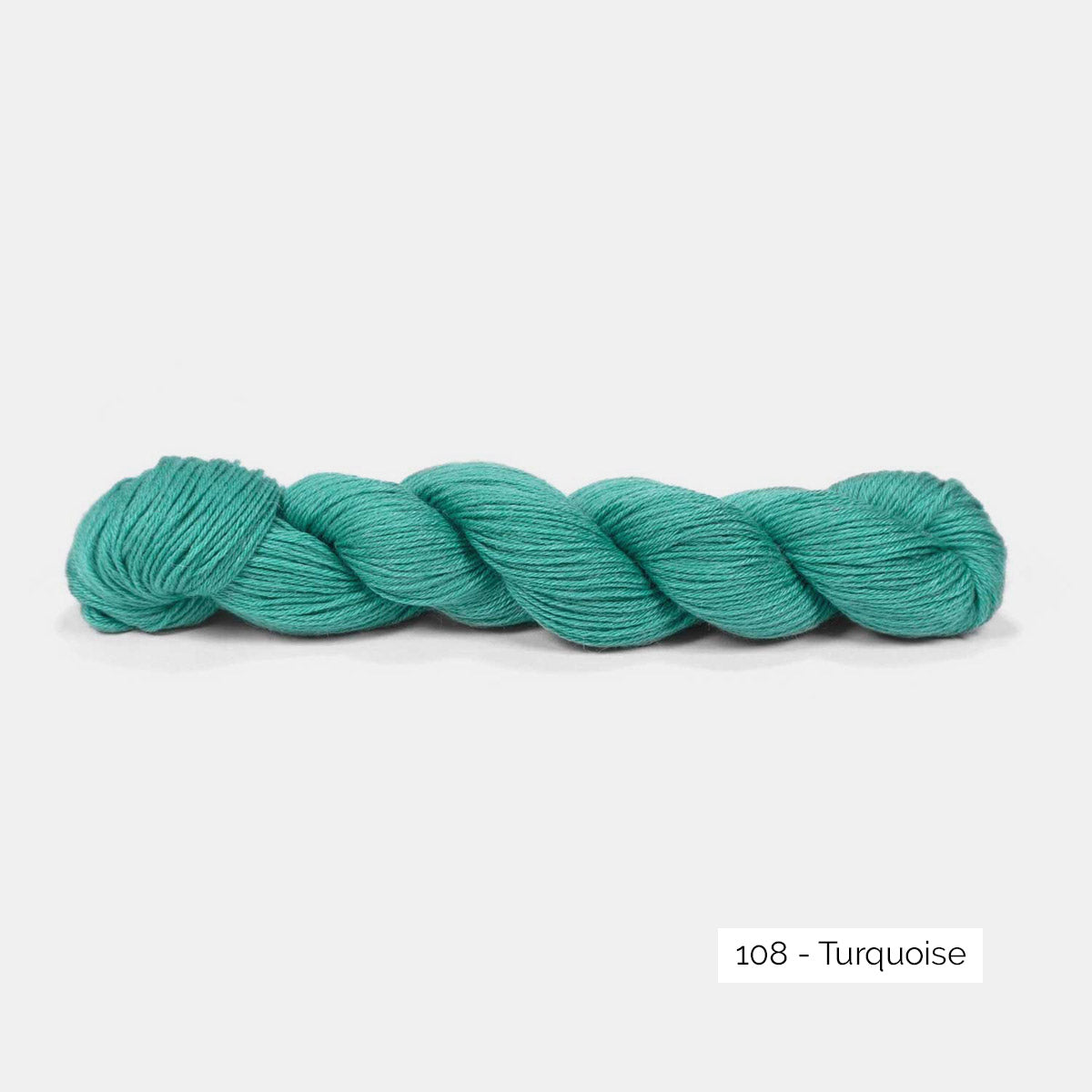 Echeveau de Pinta de Pascuali, laine à chaussettes sans nylon, coloris 108 Turquoise