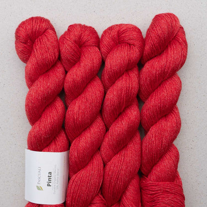 Echeveaux de Pinta de Pascuali, coloris 112 Fraise
