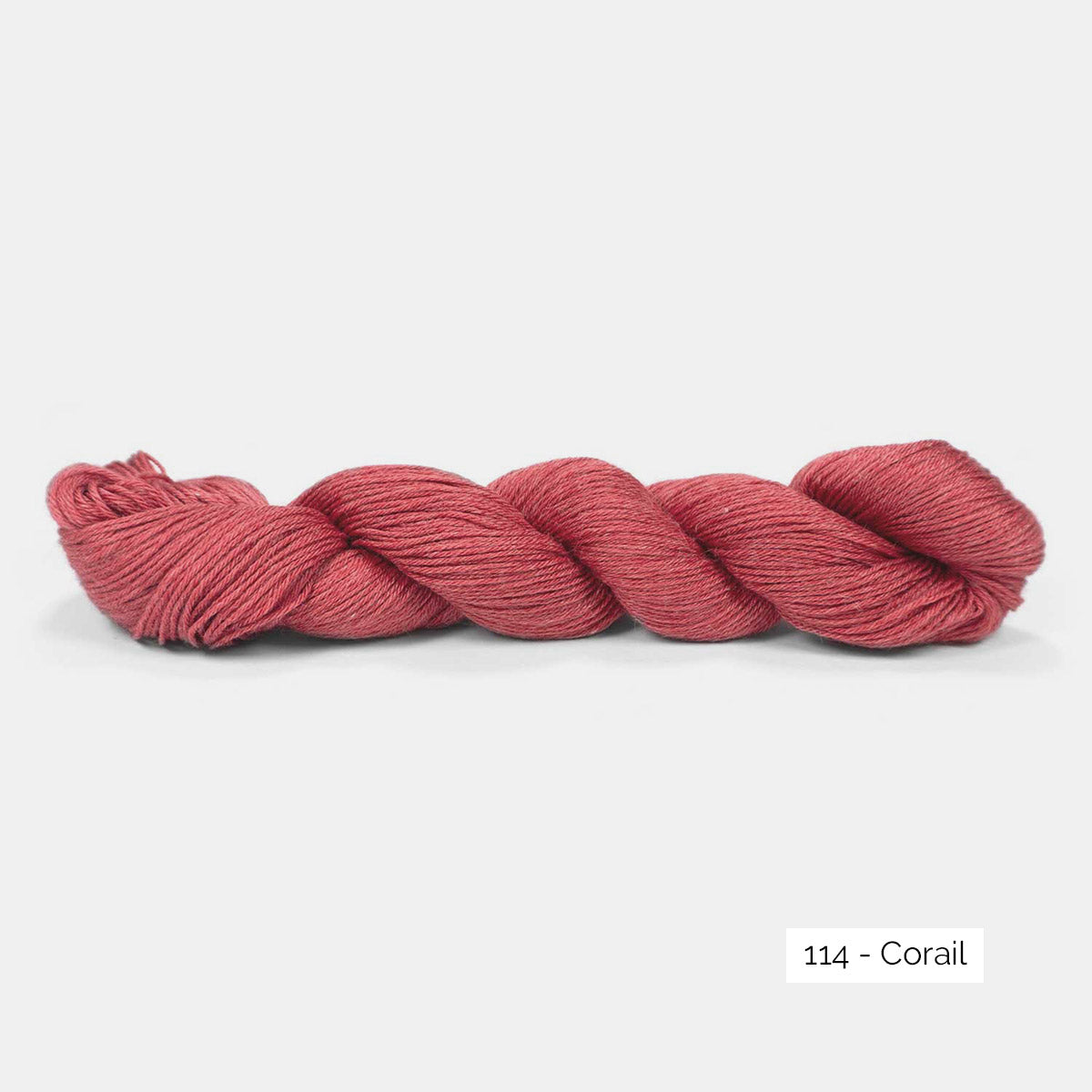 Echeveau de Pinta de Pascuali, laine à chaussettes sans nylon, coloris 114 Corail