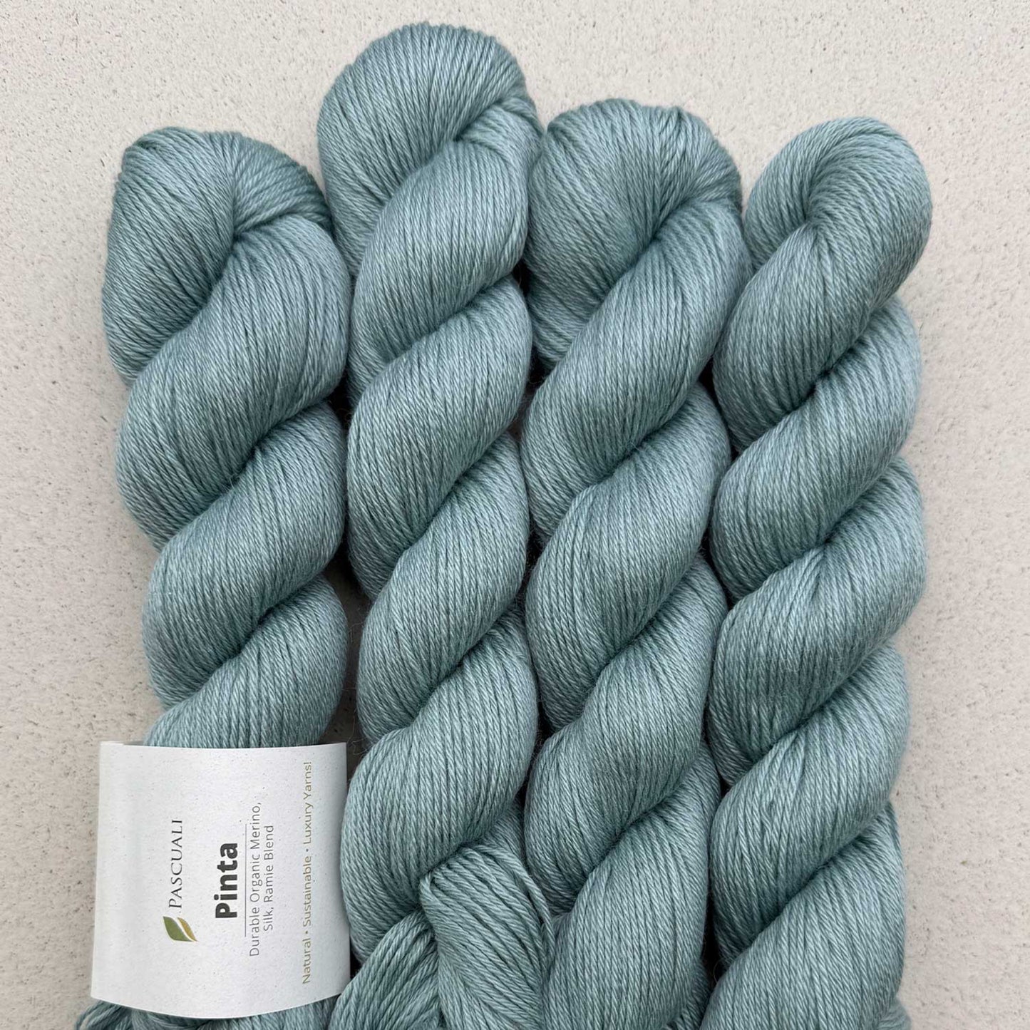 Echeveaux de Pinta de Pascuali, coloris 129 Sauge