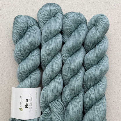 Echeveaux de Pinta de Pascuali, coloris 129 Sauge