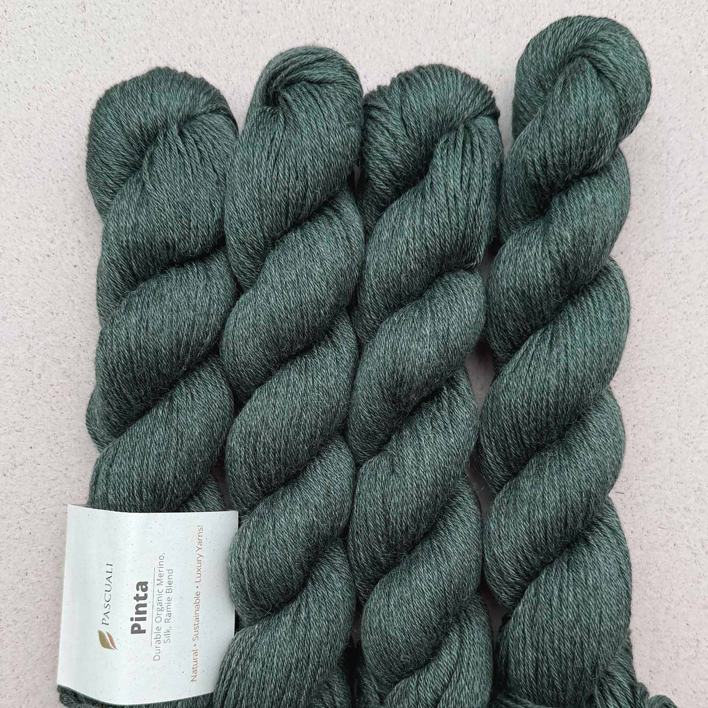 Echeveaux de Pinta de Pascuali, coloris 131 Vert Marin