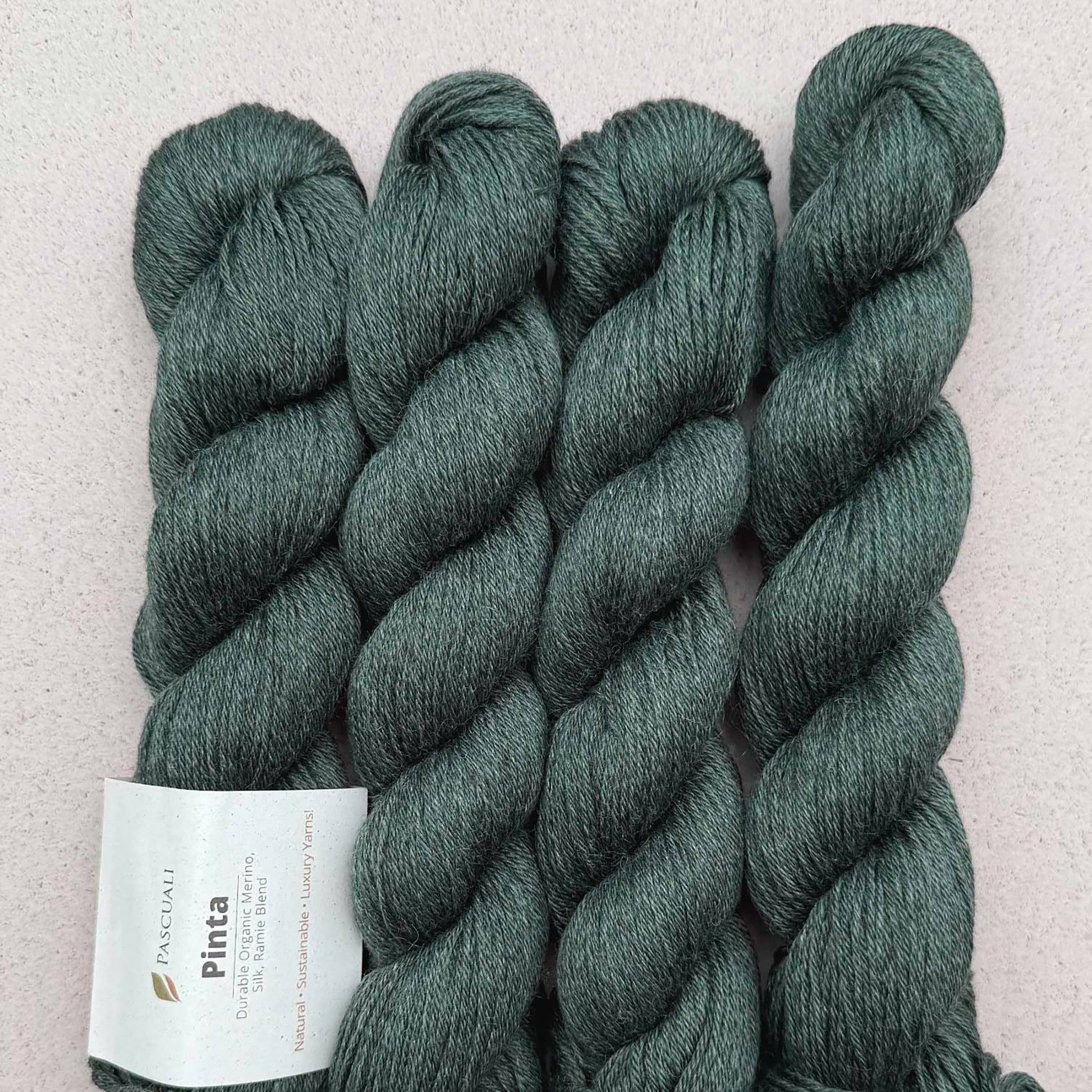 Echeveaux de Pinta de Pascuali, coloris 131 Vert Marin