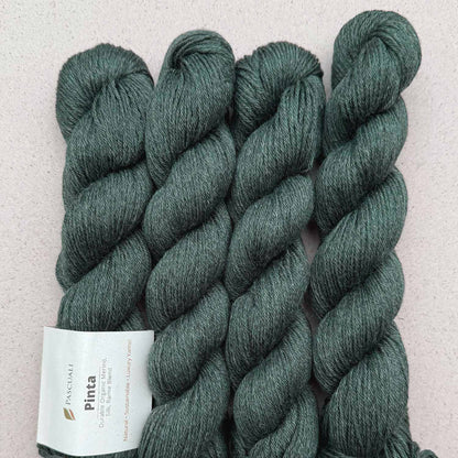 Echeveaux de Pinta de Pascuali, coloris 131 Vert Marin