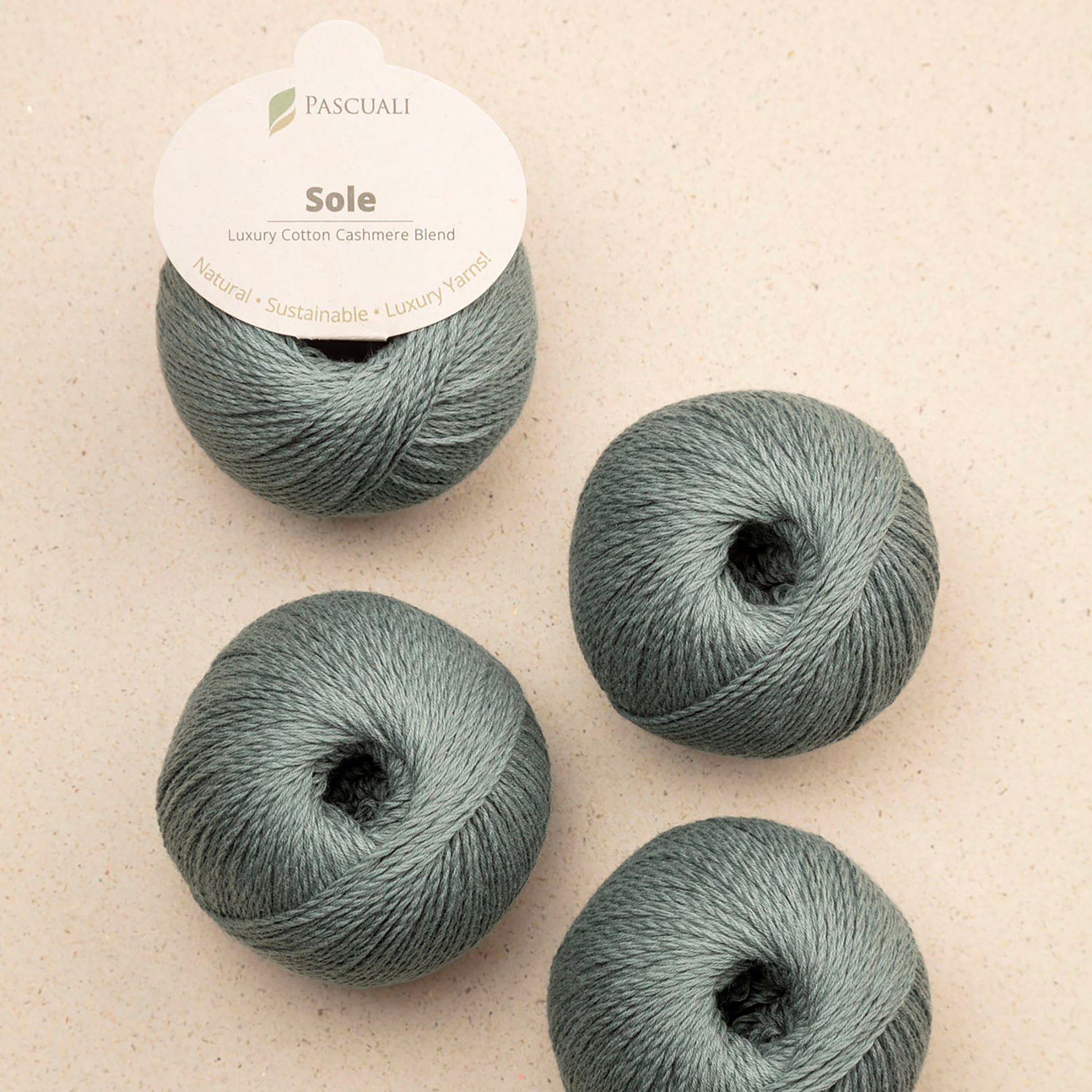 Pelotes de Sole de Pascuali coloris 47 Sage