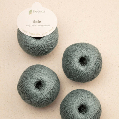 Pelotes de Sole de Pascuali coloris 47 Sage