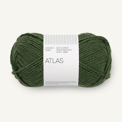 Pelote de Atlas de Sandnes Garn coloris 8571 Dark Forest Green