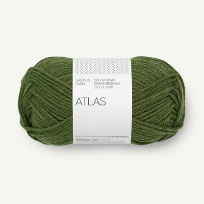Pelote de Atlas de Sandnes Garn coloris 9072 Dark Green Mix