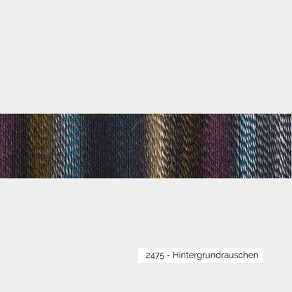 Dégradé de couleurs d'une pelote de laine à chaussettes autorayantes Crazy Zauberball de Schoppel Wolle coloris 2475 Hintergrundrauschen (dégradé bleu brun sombre)