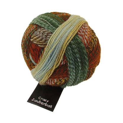 Pelote de Zauberball Crazy de Schoppel Wolle coloris 1660 Riverbed