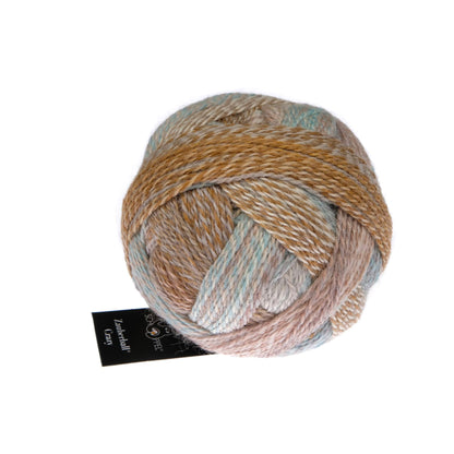 Pelote de Zauberball Crazy de Schoppel Wolle coloris 2690 Open Air Theatre