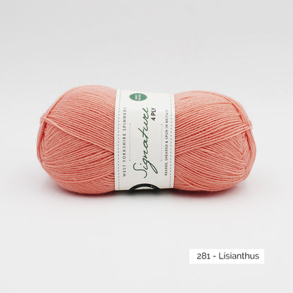 Pelote de Signature 4ply de West Yorkshire Spinners (WYS) coloris 281 Lisianthus
