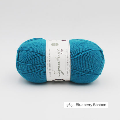 Pelote de Signature 4ply de West Yorkshire Spinners (WYS) coloris 365 Blueberry Bonbon