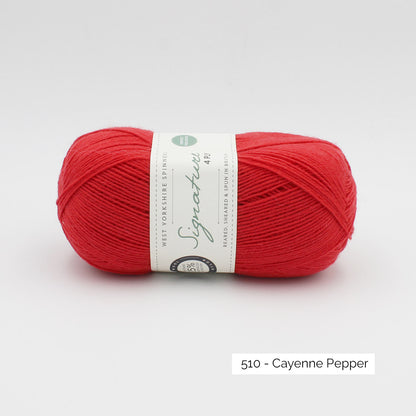 Pelote de Signature 4ply de West Yorkshire Spinners (WYS) coloris 510 Cayenne Pepper
