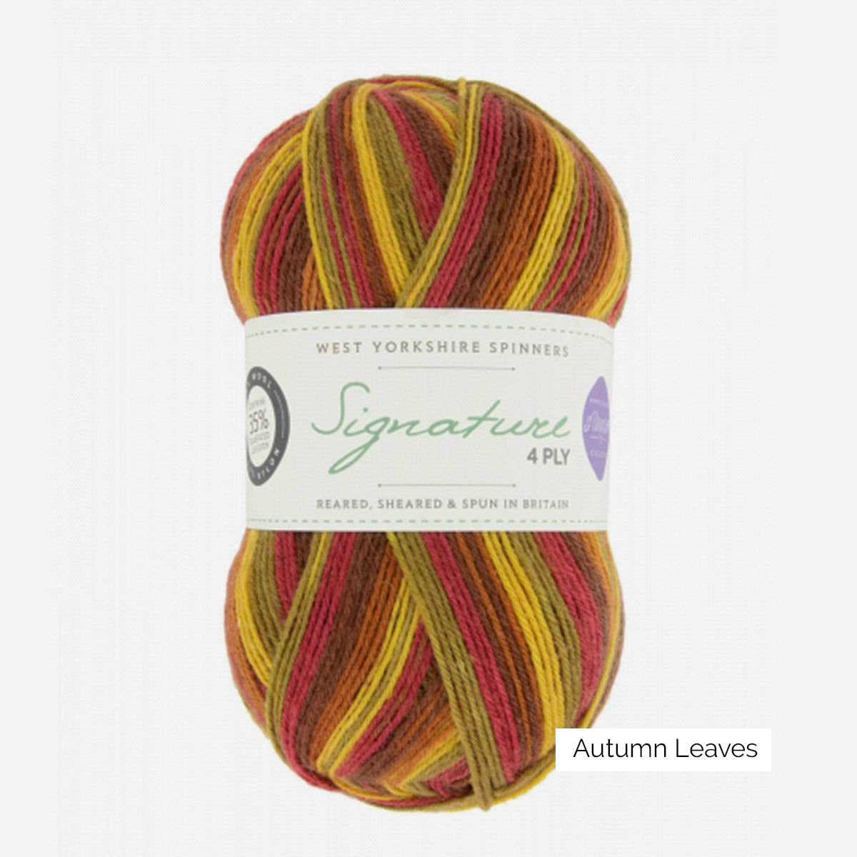 Pelote de Signature 4-ply de West Yorkshire Spinners (WYS), coloris Autumn Leaves