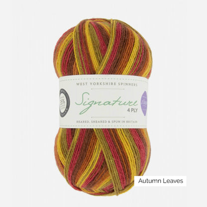 Pelote de Signature 4-ply de West Yorkshire Spinners (WYS), coloris Autumn Leaves