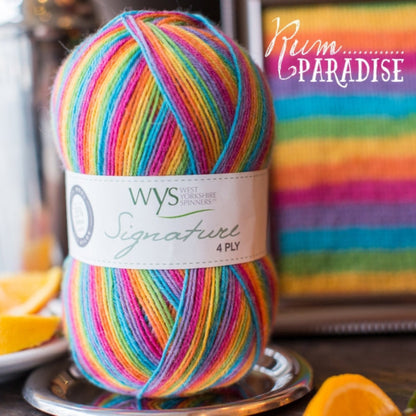 Pelote de Signature 4ply de West Yorkshire Spinners (WYS), coloris Rum Paradise
