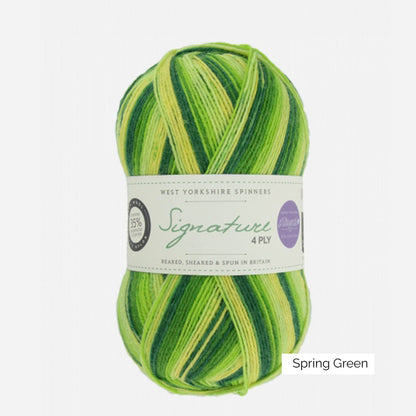 Pelote de Signature 4-ply de West Yorkshire Spinners (WYS), coloris Spring Green