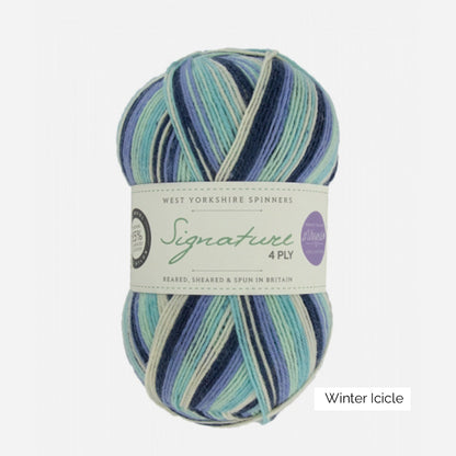 Pelote de Signature 4-ply de West Yorkshire Spinners (WYS), coloris Winter Icicle